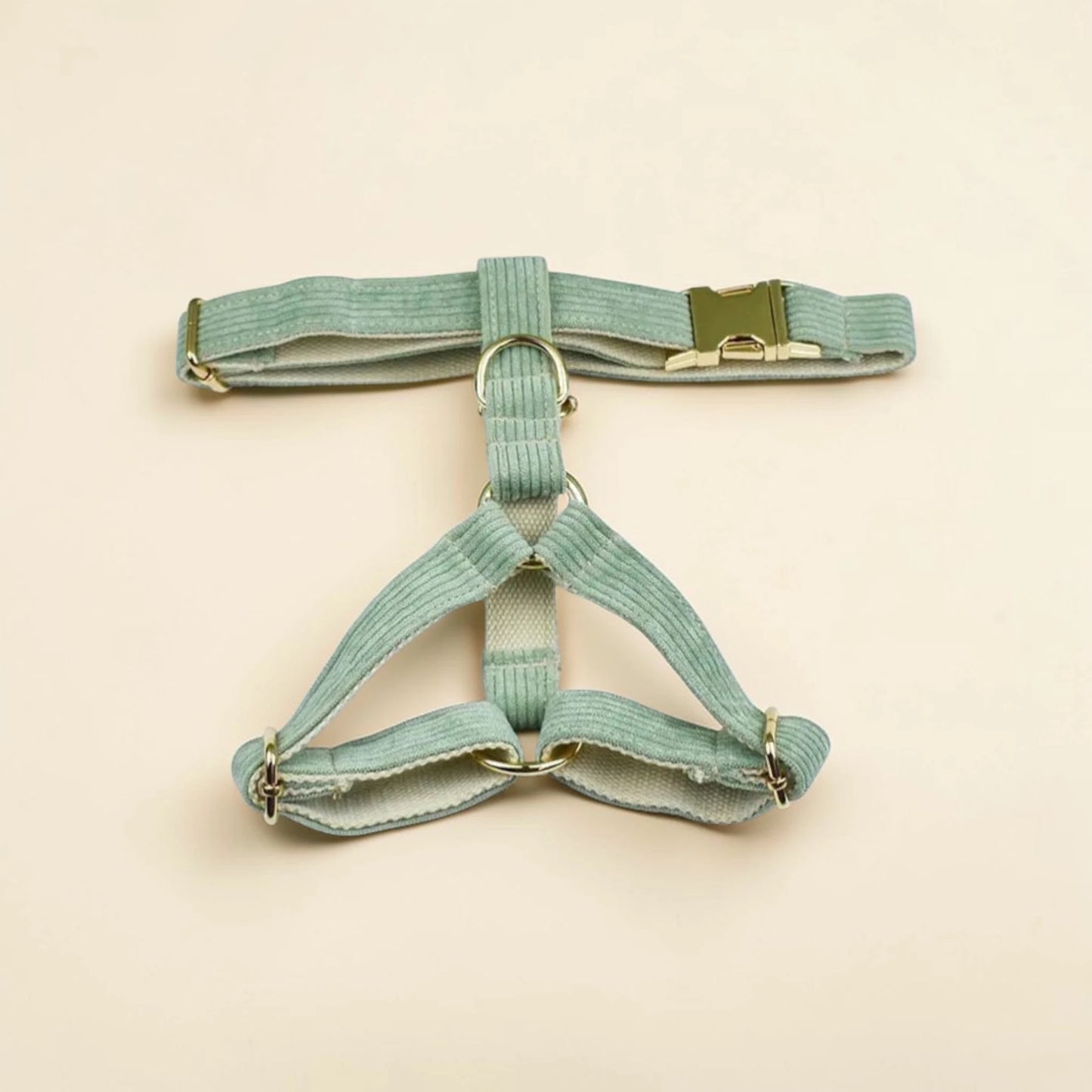 Light green dog harness on a beige background