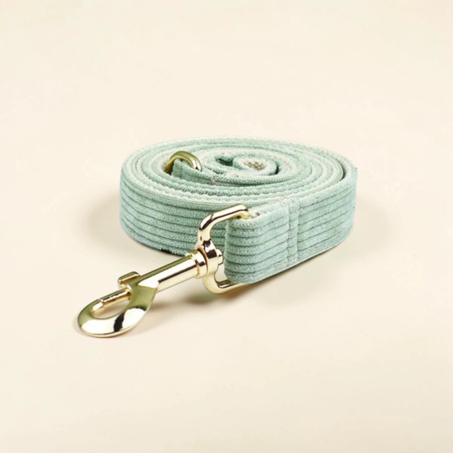 Light green dog lead with gold clip on a beige background