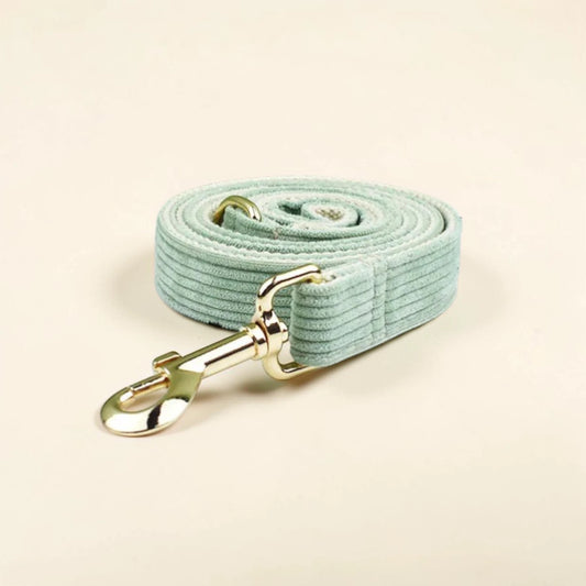 Light green dog lead with gold clip on a beige background