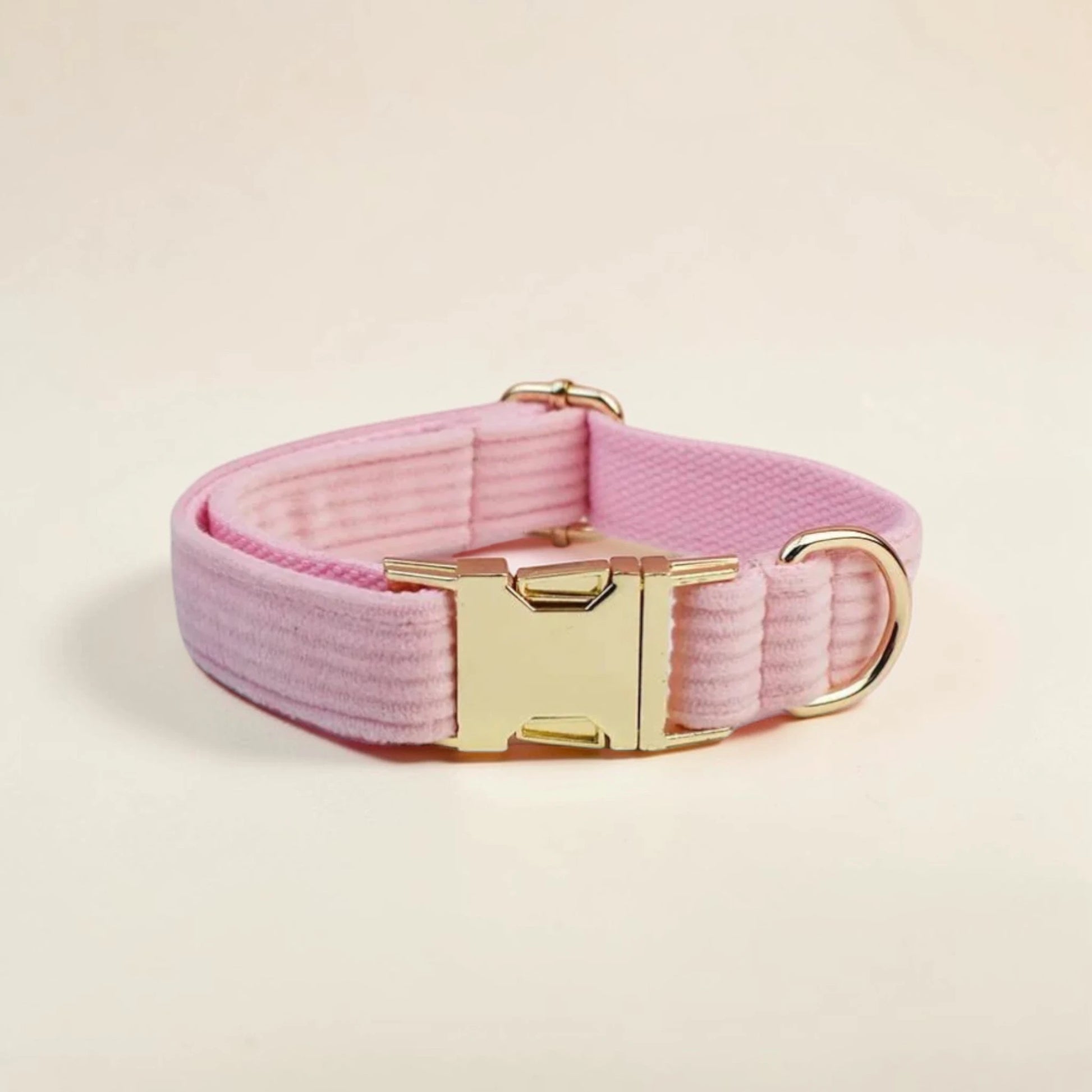 Pink dog collar with gold buckle on a beige background