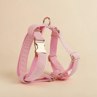 Pink dog harness with gold hardware on a beige background