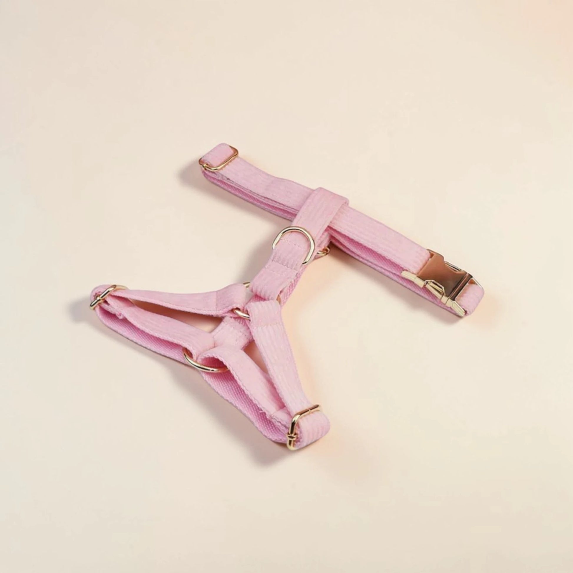 Pink dog harness with gold hardware on a beige background