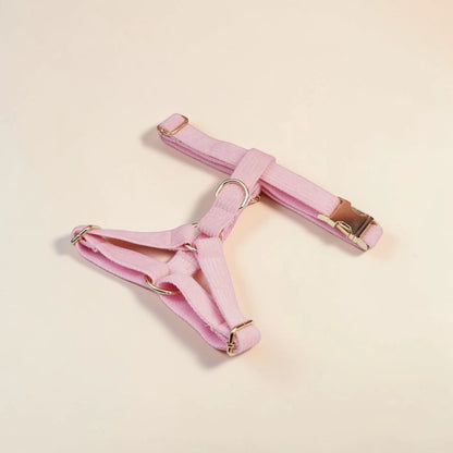Pink dog harness with gold hardware on a beige background