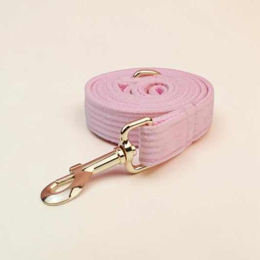Pink dog lead with gold hardware on a beige background