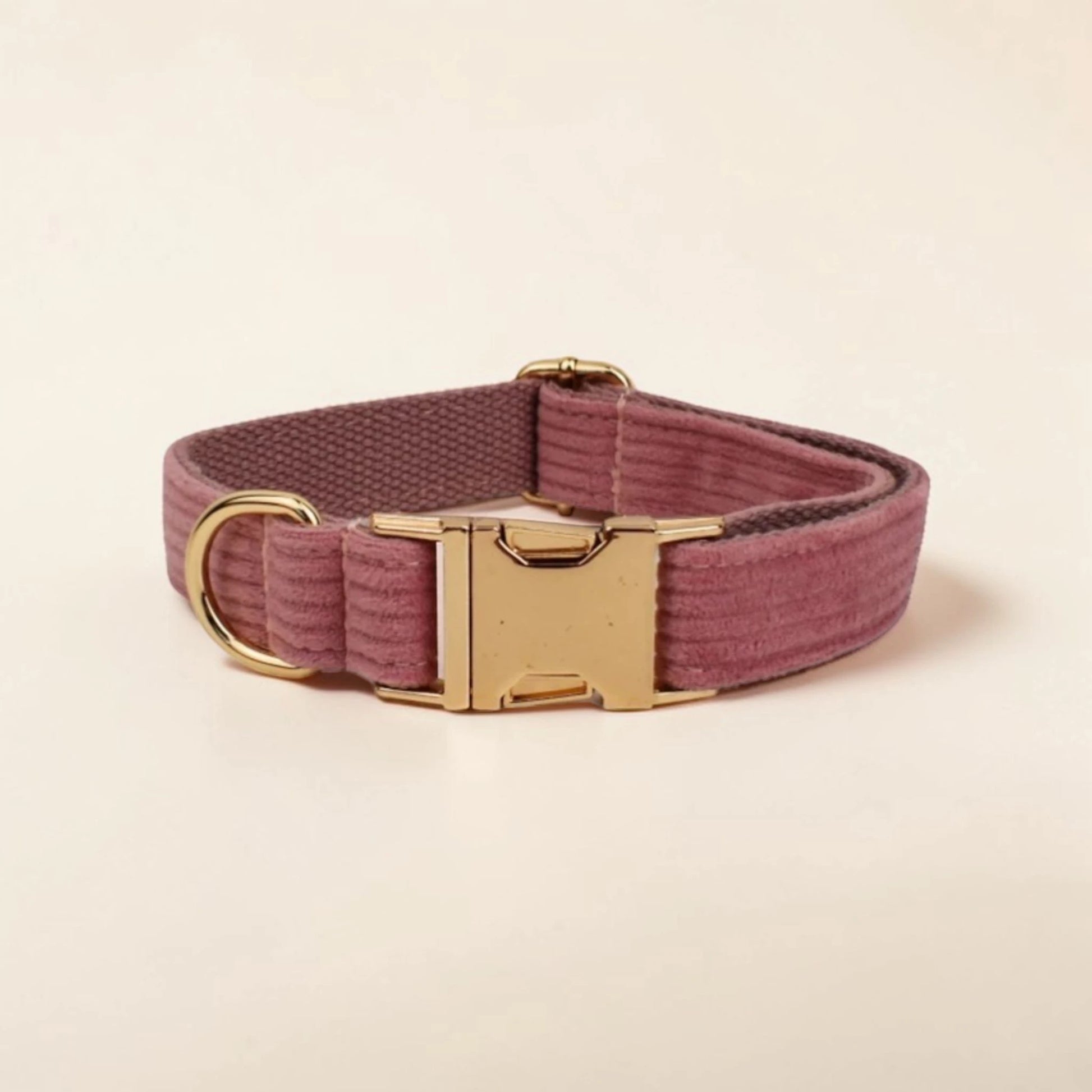 Powder pink dog collar with gold buckle on a beige background