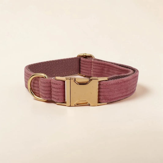 Powder pink dog collar with gold buckle on a beige background
