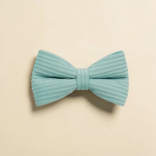Soft mint green dog bow tie on a beige background
