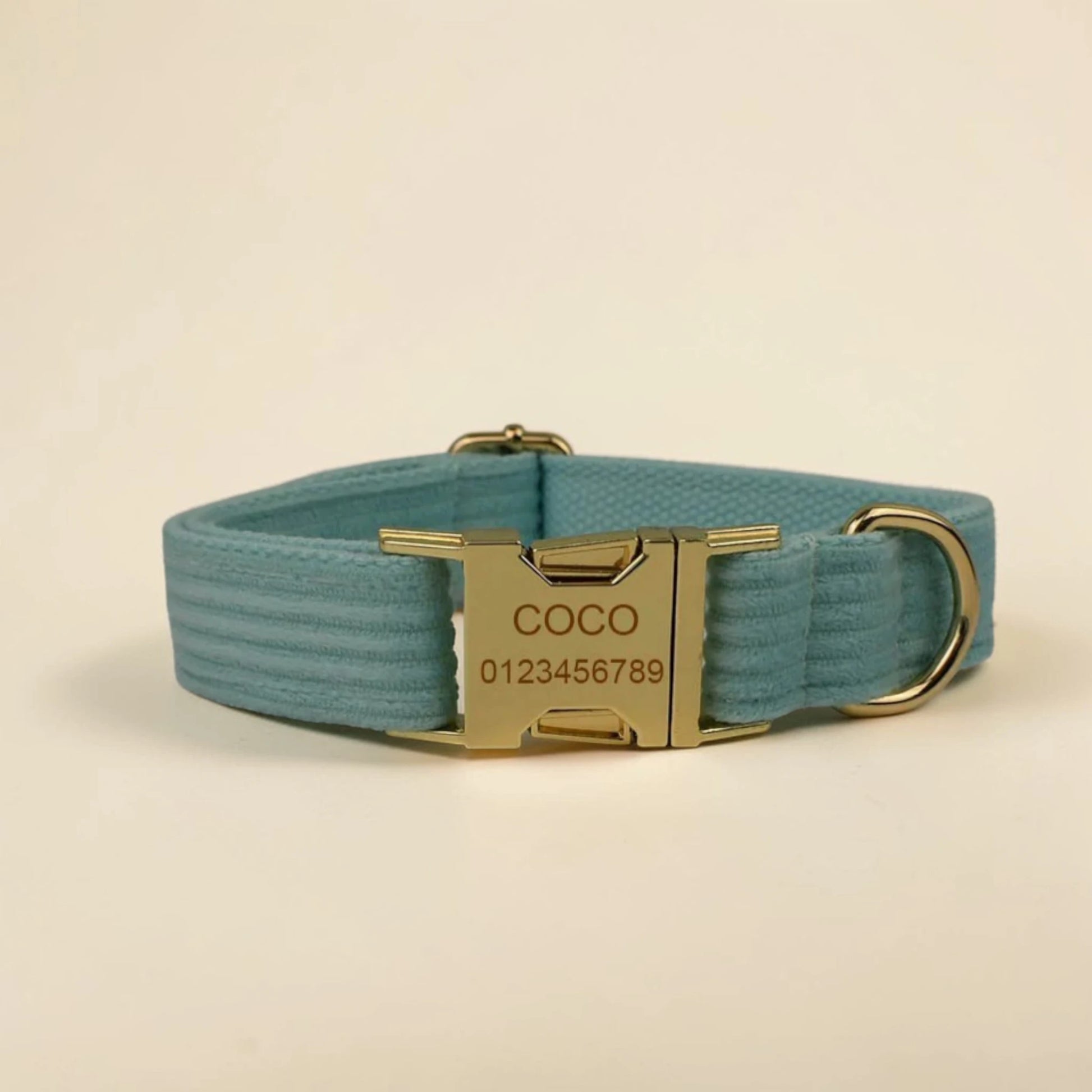 Soft mint green dog collar with gold buckle on a beige background