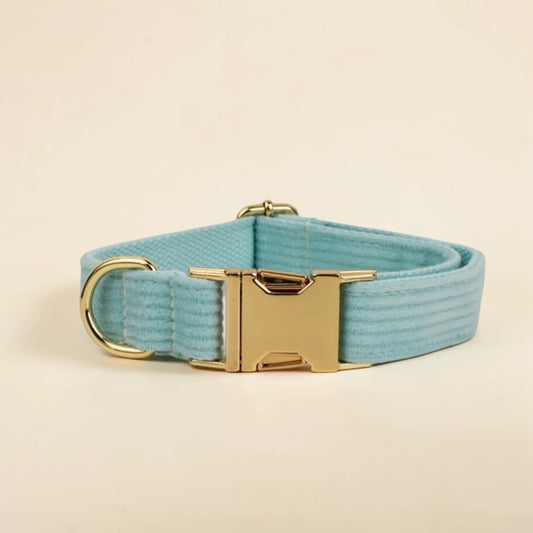 Soft mint green dog collar with a gold buckle on a beige background