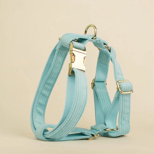 Soft mint green dog harness with gold hardware on a beige background