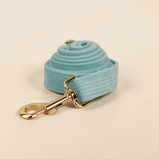 Soft mint green dog lead with gold clip on a beige background