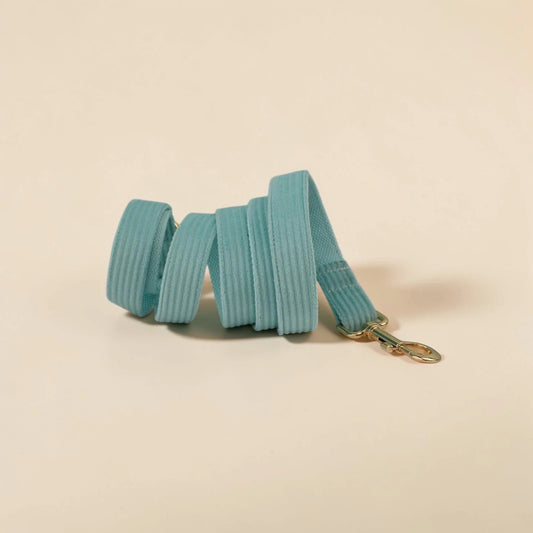 Soft mint green dog lead with gold clip on a beige background