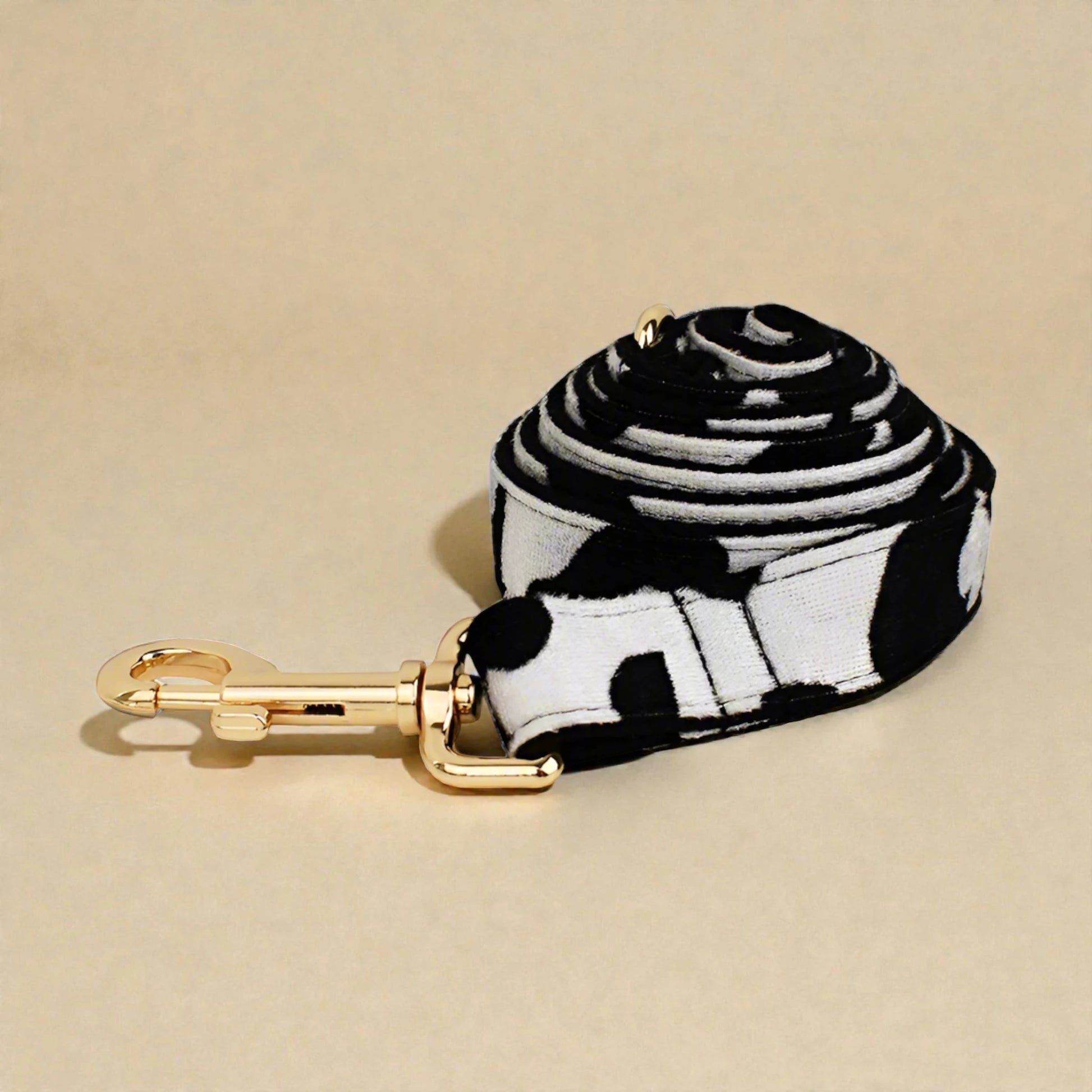 Black and white patterned dog lead with gold clip on beige background