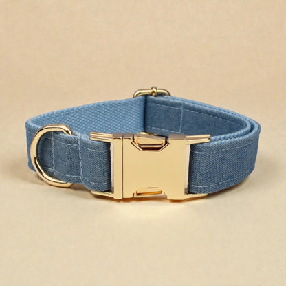Blue dog collar with a gold buckle on a beige background