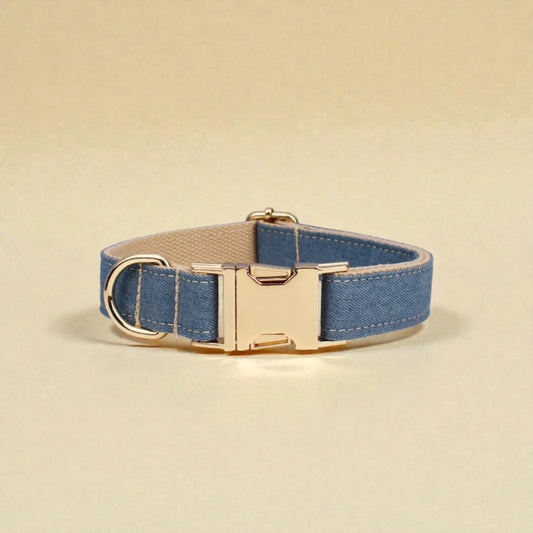 Dog collar with tan stitching and gold buckle on a beige background