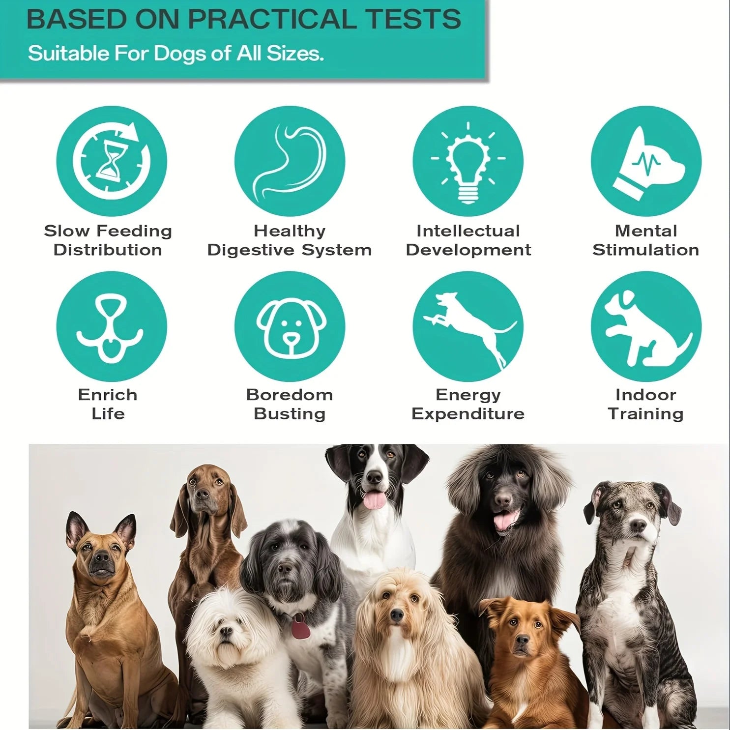 Dogs of various breeds and sizes with icons and text about pet care benefits.