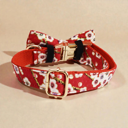 Red floral dog collar with gold buckle on a beige background