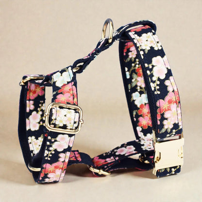 Floral-patterned dog harness with gold hardware on a beige background