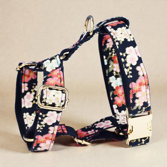 Floral-patterned dog harness with gold hardware on a beige background