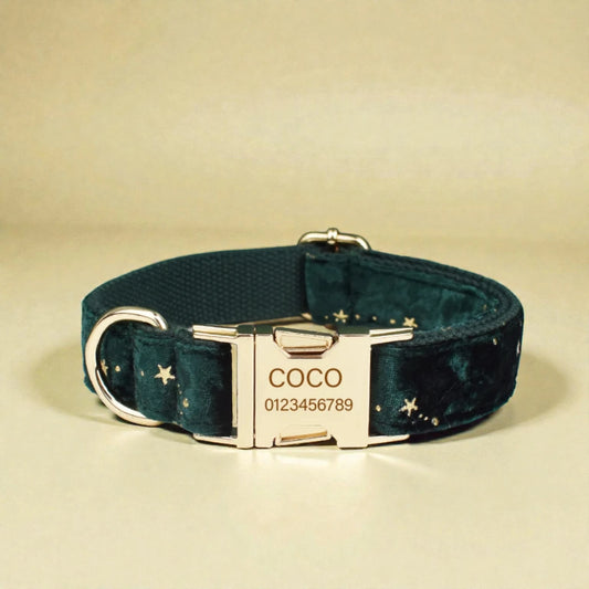 Dark green dog collar with star pattern and gold buckle on a beige background