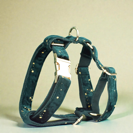 Green dog harness with gold star patterns on a light green background