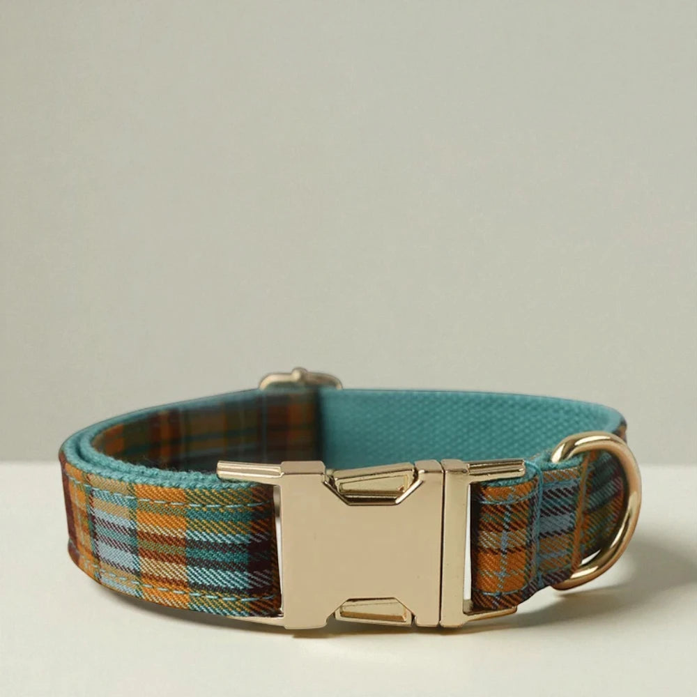 Plaid dog collar with a gold buckle on a light background