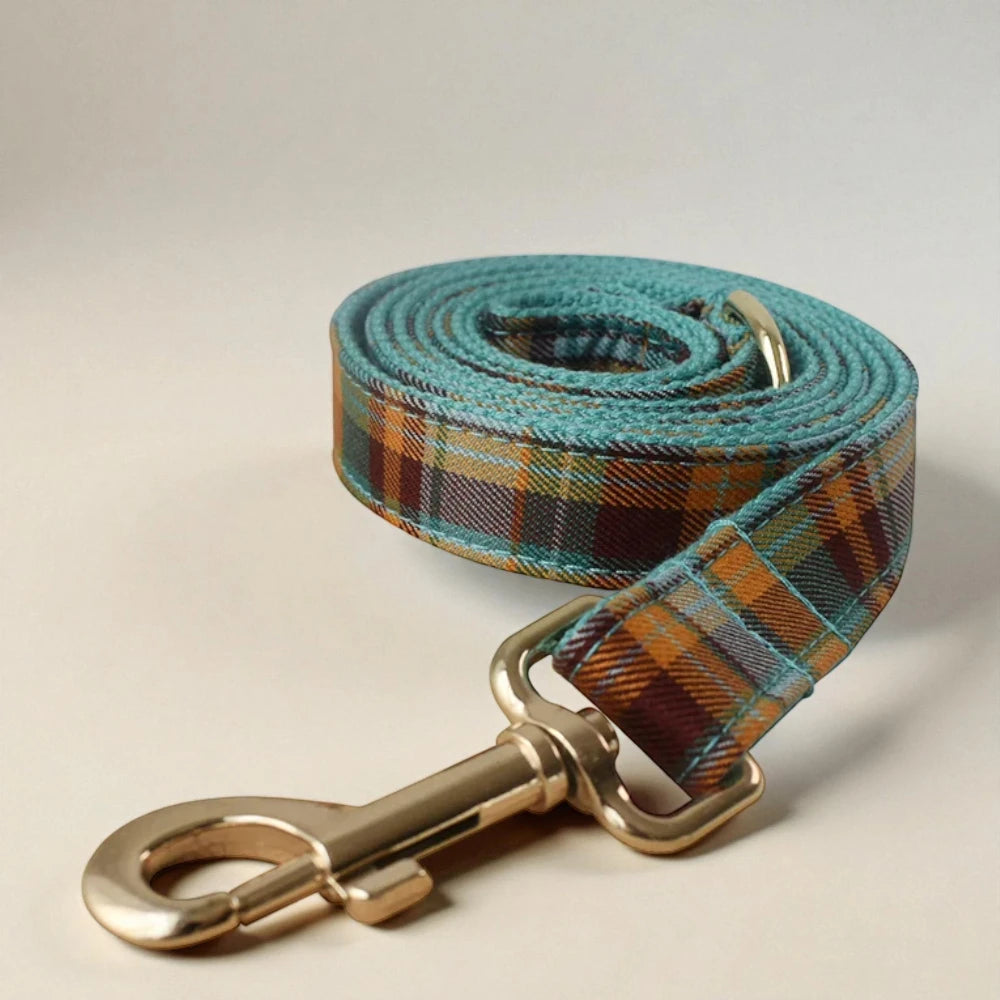 Plaid dog leash with gold clasp on a beige background