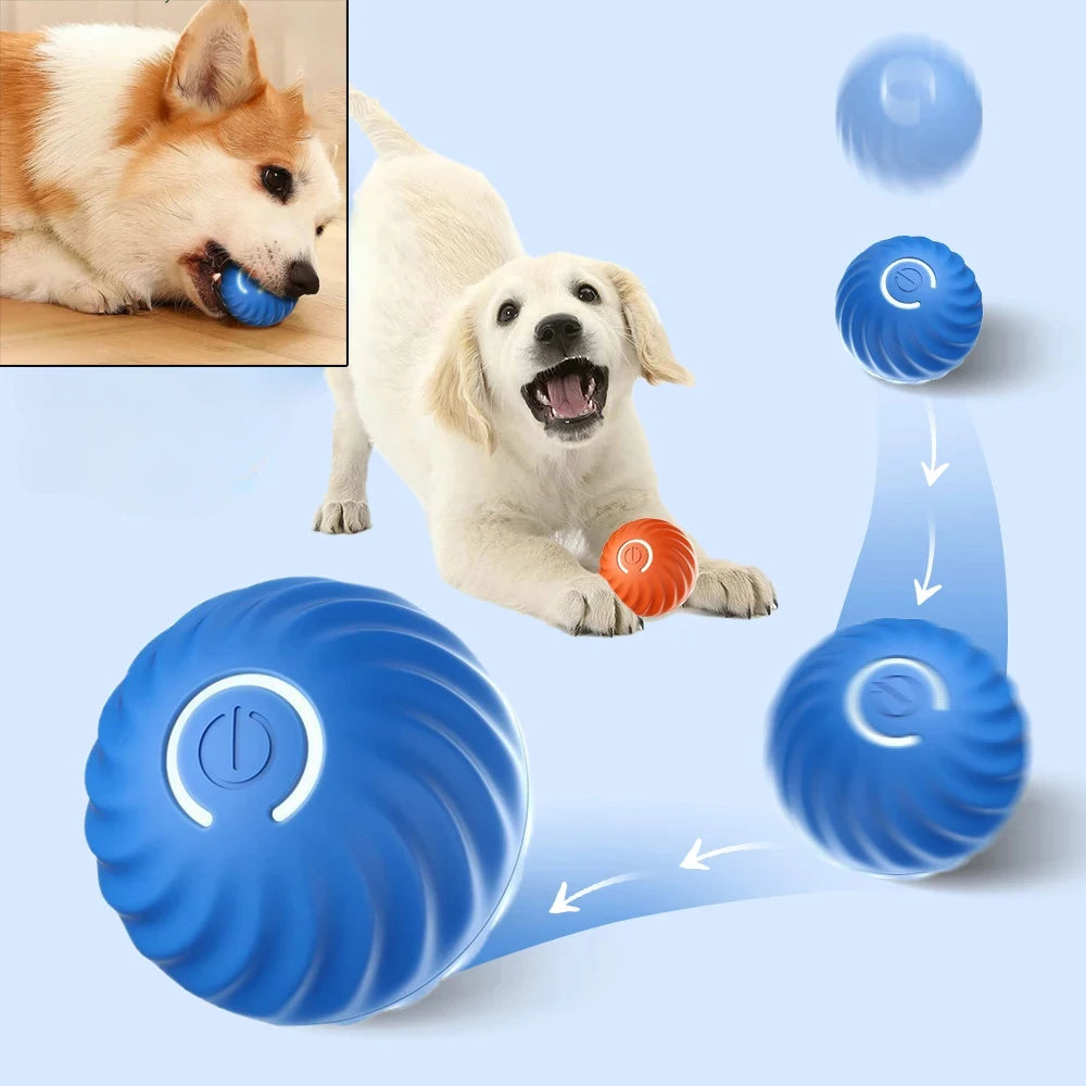Blue dog toy with a white dog playing with it on a light blue background