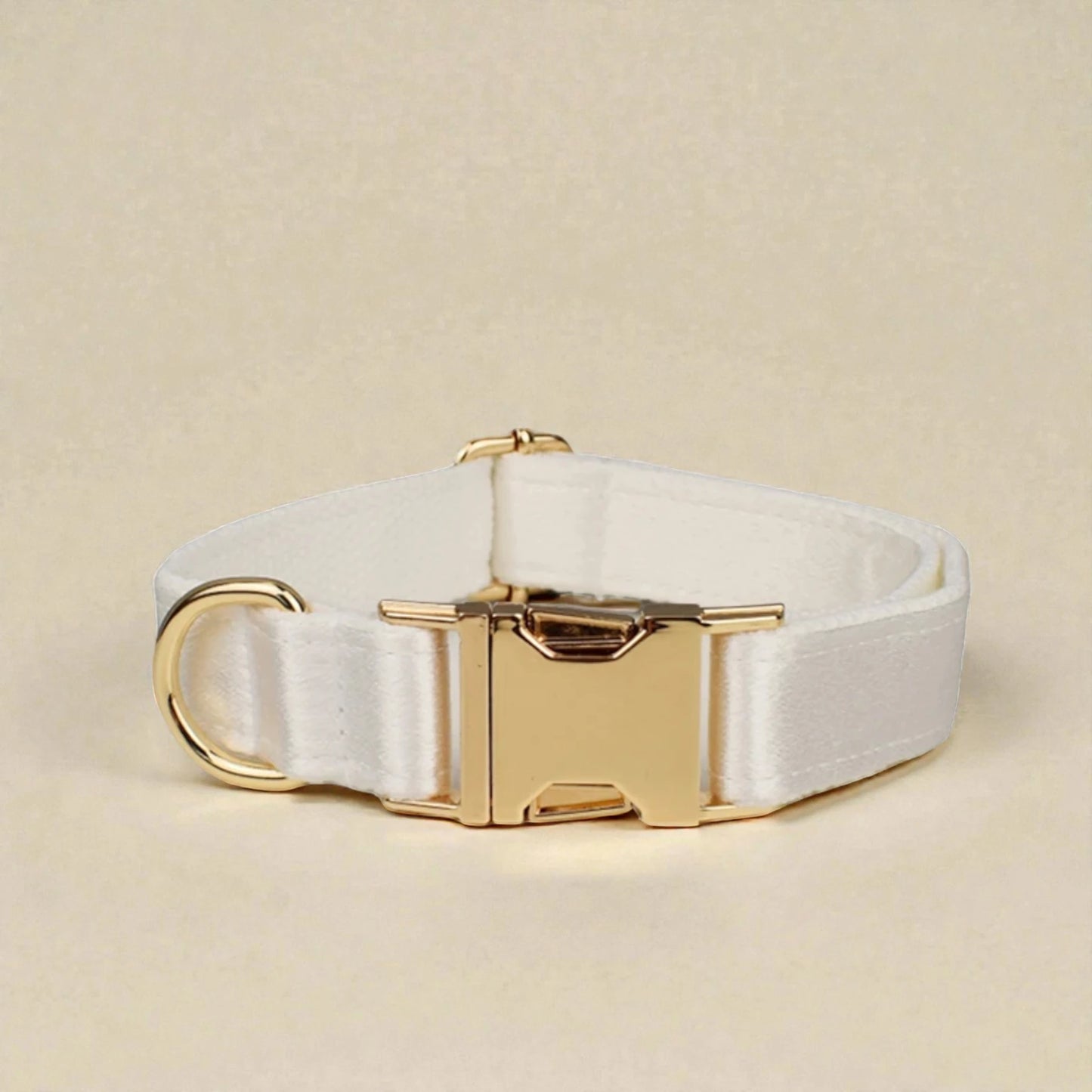 Ivory dog collar with gold hardware on a beige background
