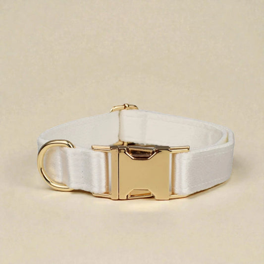 Ivory dog collar with gold hardware on a beige background