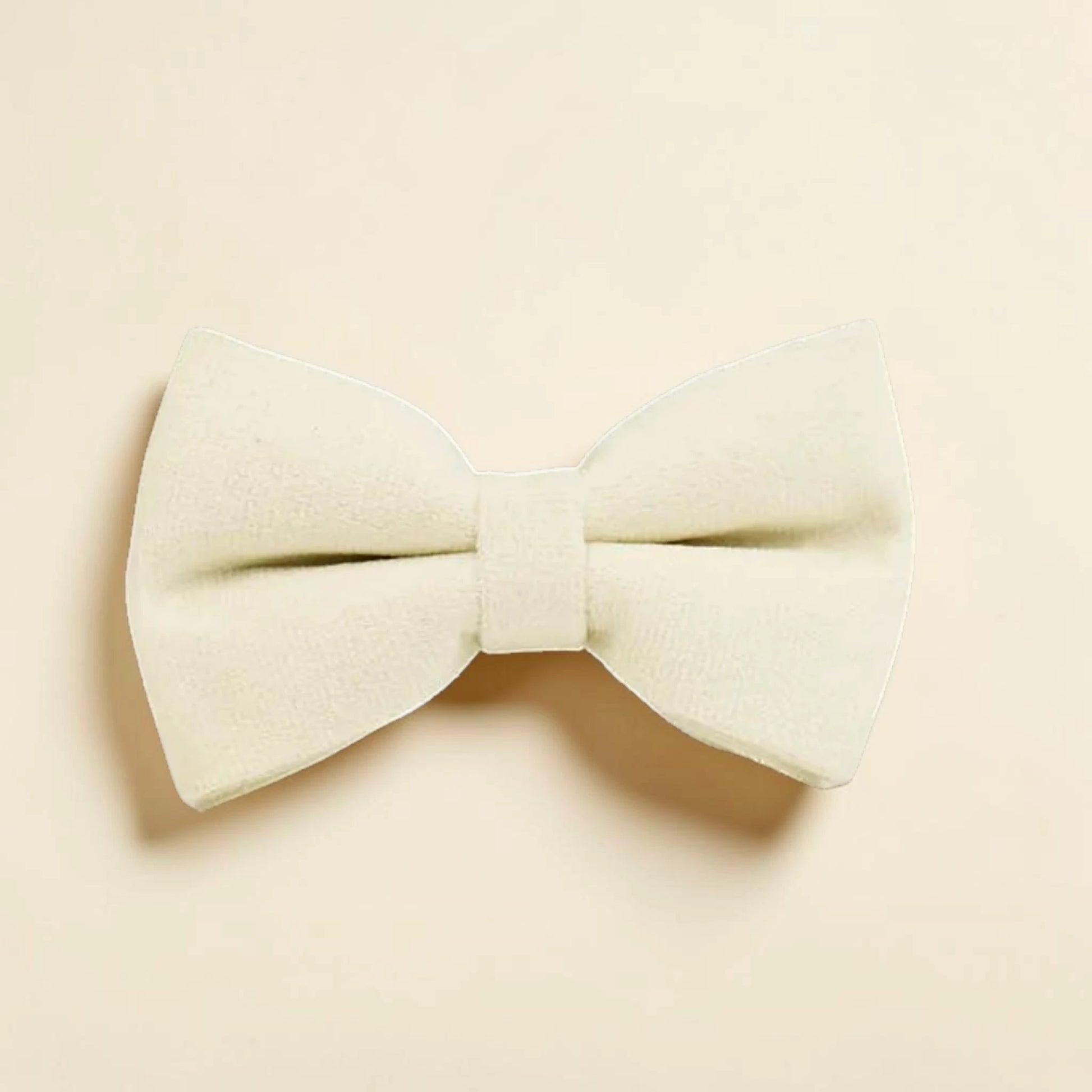 Ivory dog bow tie on a beige background