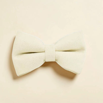 Ivory dog bow tie on a beige background