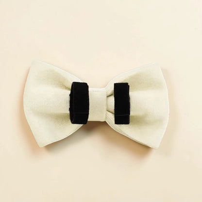 Ivory detachable dog bow tie on a beige background