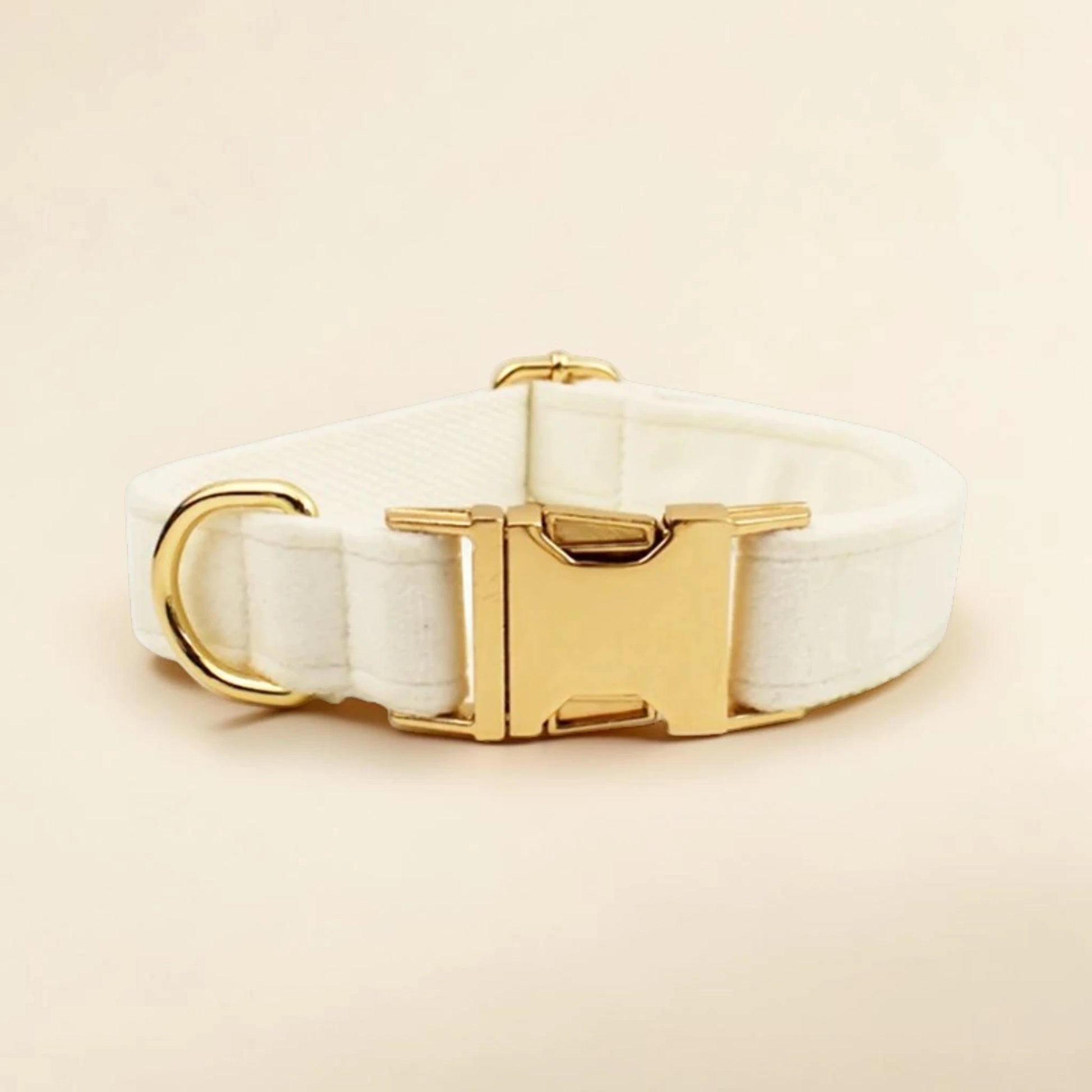 Ivory dog collar with gold buckle on a beige background