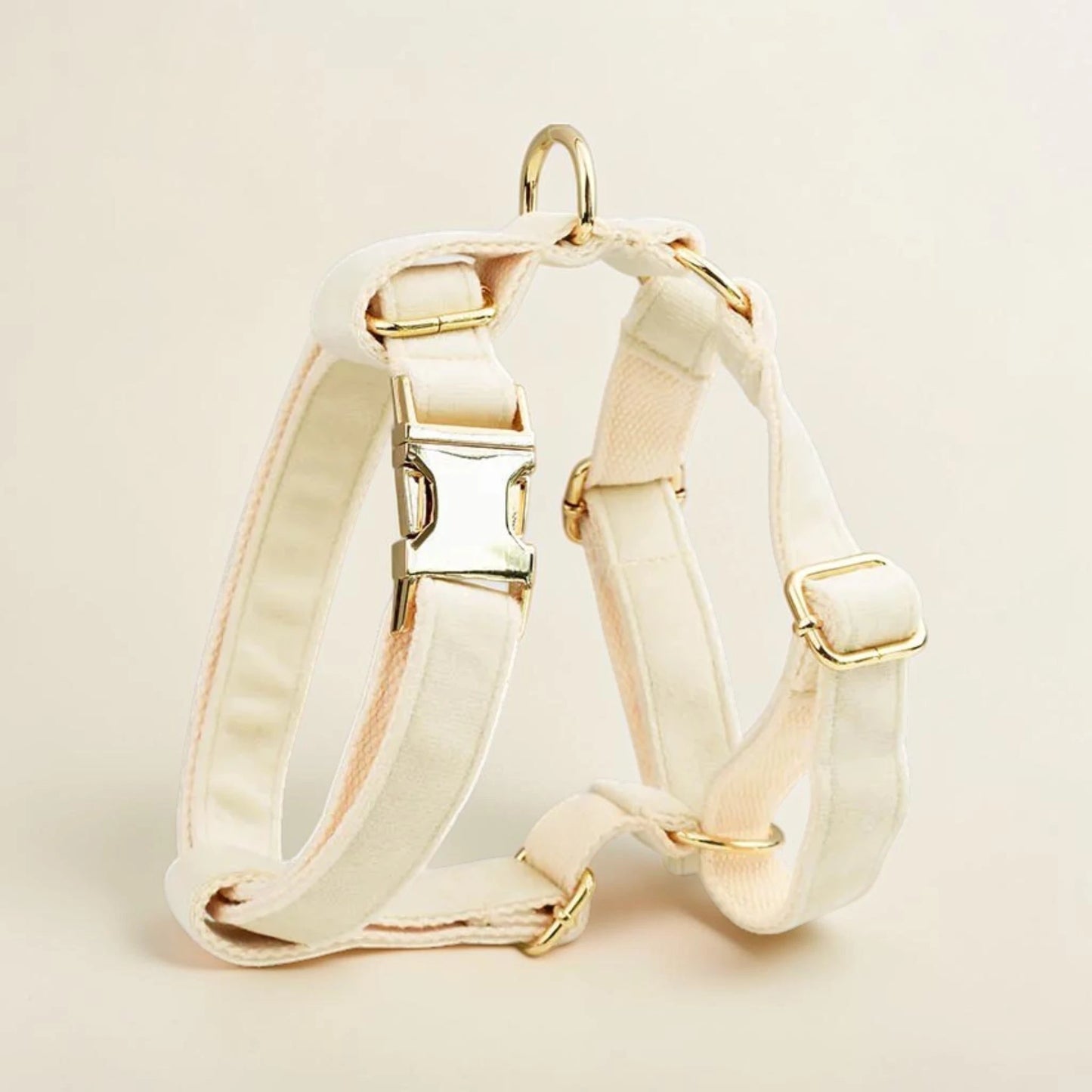 Ivory Dog harness with gold hardware on a beige background