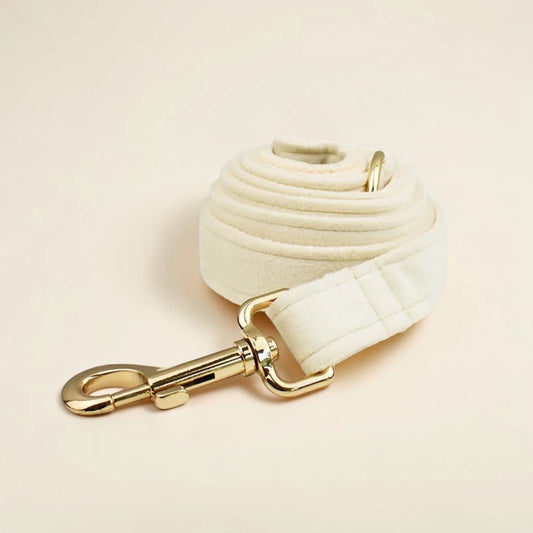 Ivory wedding dog lead with gold clip on a beige background