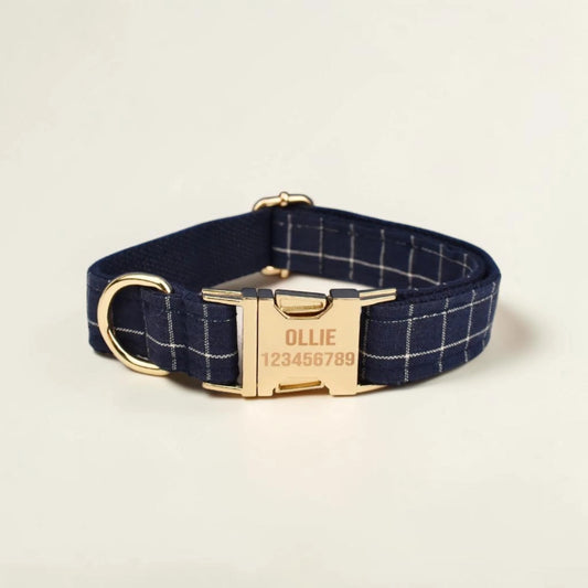 Navy check dog collar with gold buckle on a beige background