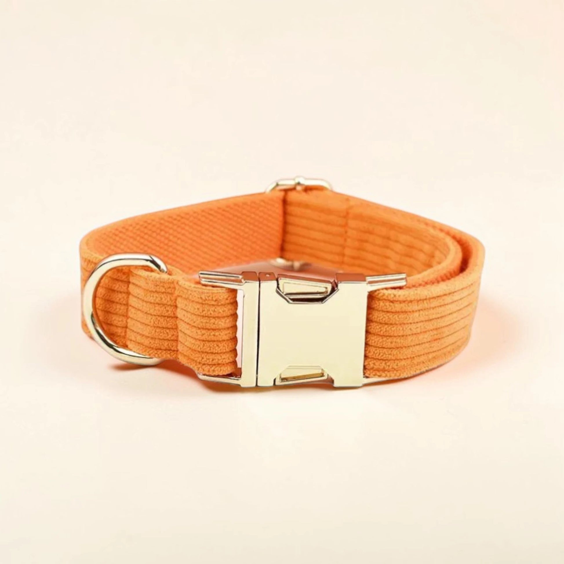 Orange dog collar with a gold buckle on a beige background