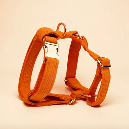 Orange dog harness on a beige background