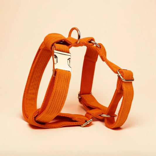 Orange dog harness on a beige background