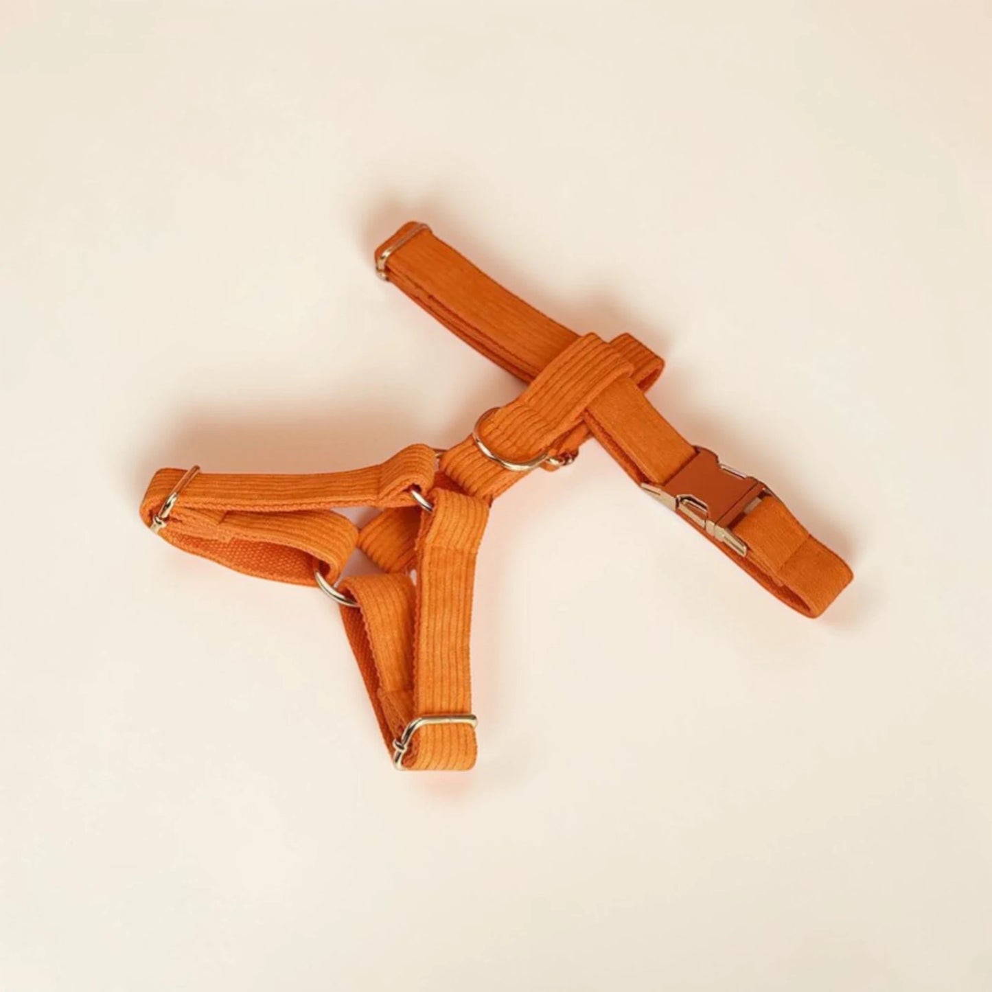 Orange dog harness on a beige background