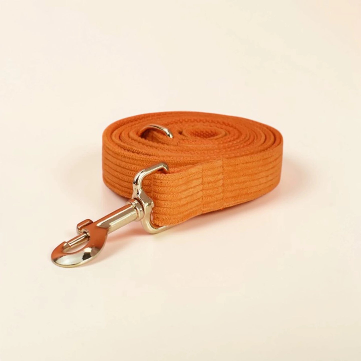 Orange dog lead with a metal clip on a beige background