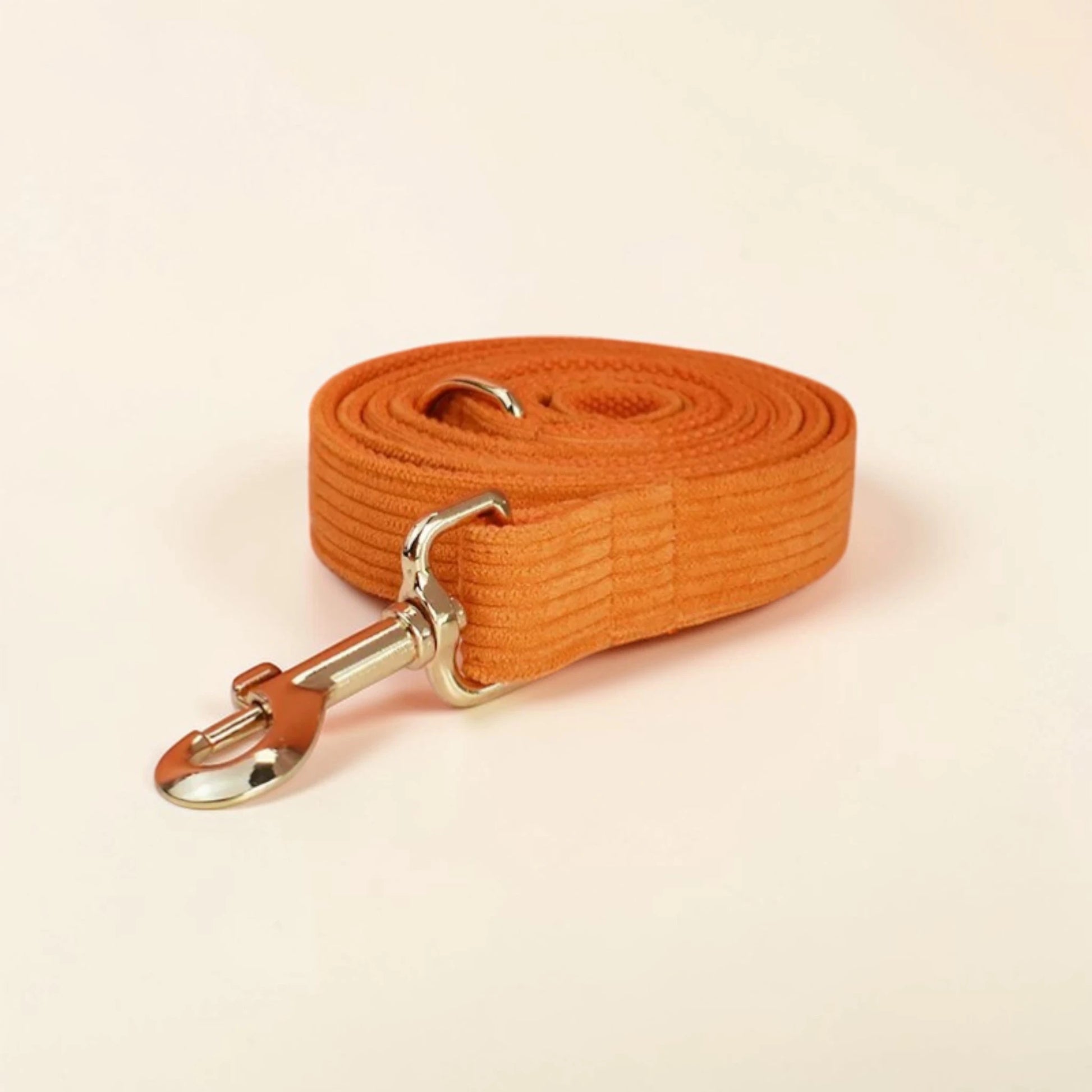Orange dog lead with a metal clip on a beige background