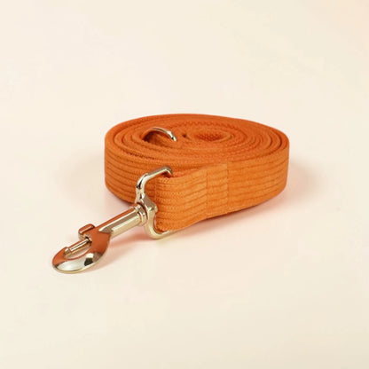 Orange dog lead with a metal clip on a beige background