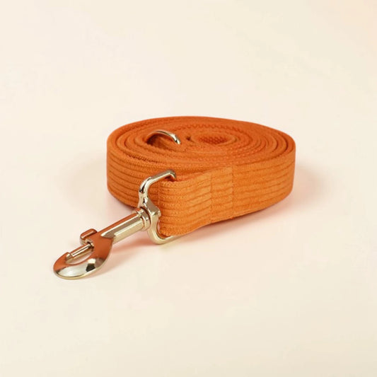Orange dog lead with a metal clip on a beige background