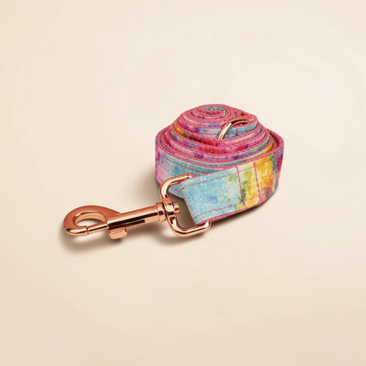 Colourful dog lead with gold clasp on a beige background