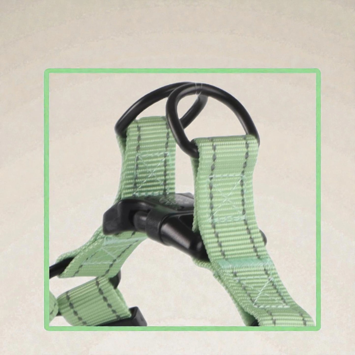 Snazzy Pooch Adjustable Step‑In Dog Harness – Peppermint