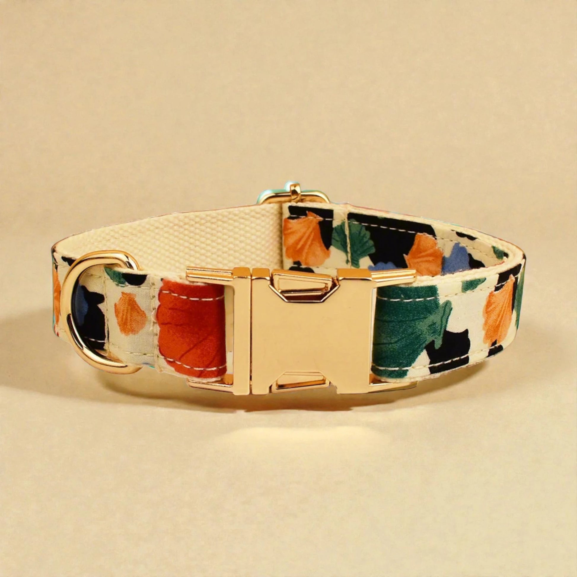 Dog collar with multicoloured floral pattern and gold buckle on beige background