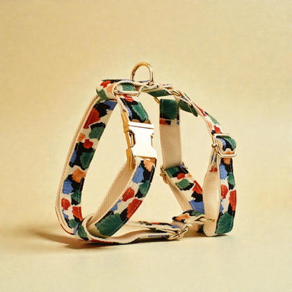 dog harness with gold buckle