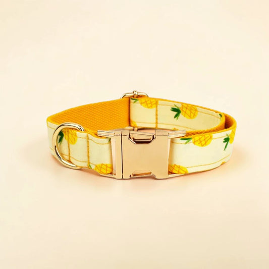 Dog collar with pineapple pattern on a beige background